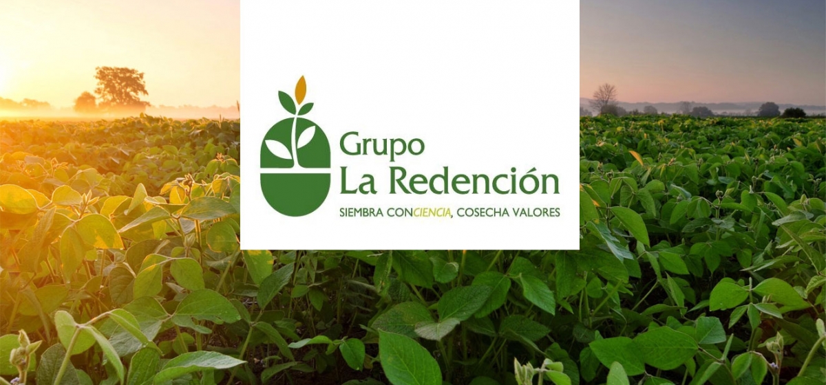 Verificación de Créditos de acreedores empresa agrícola La Redención